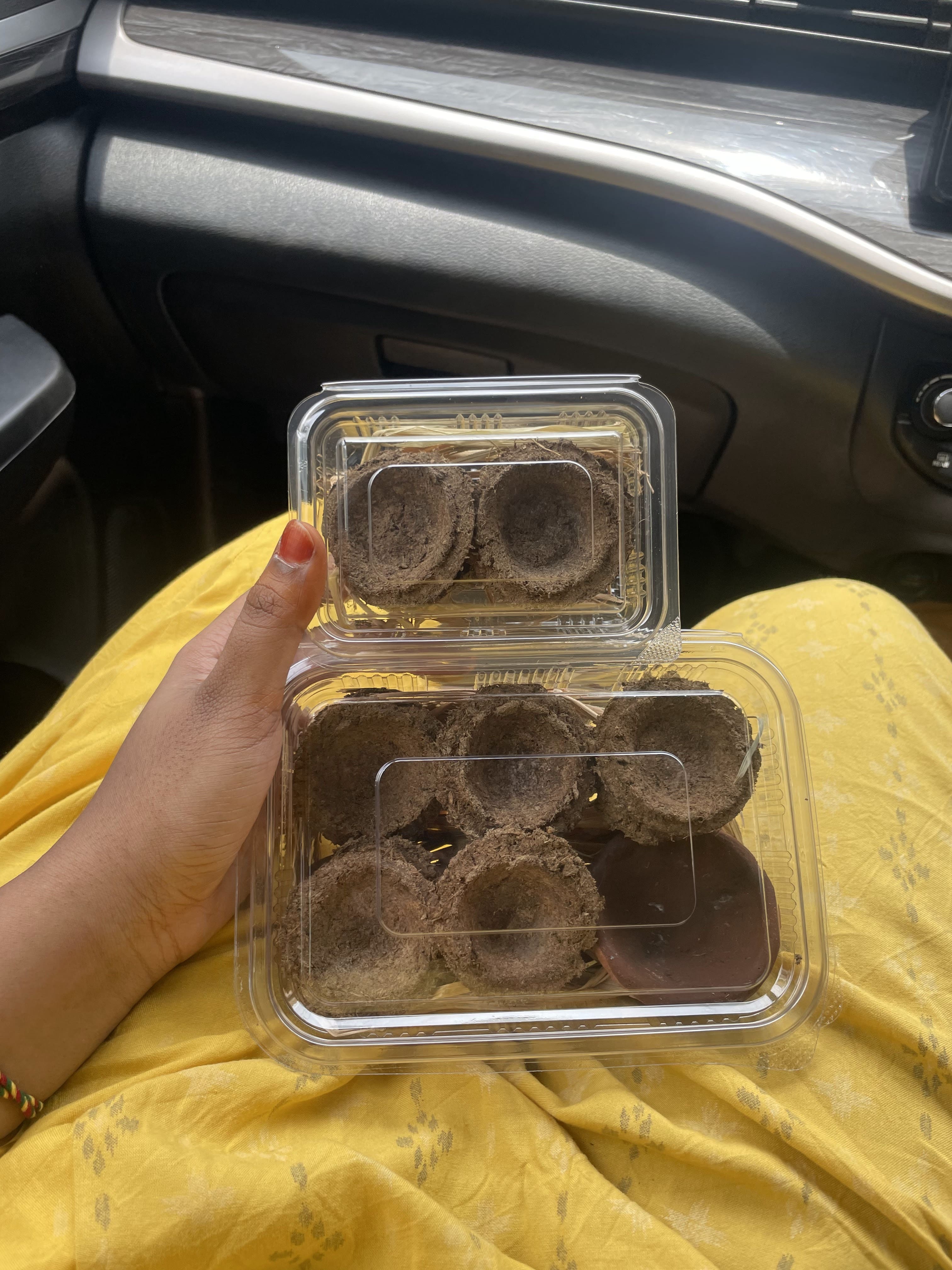 Goppalu Deepalu Cows